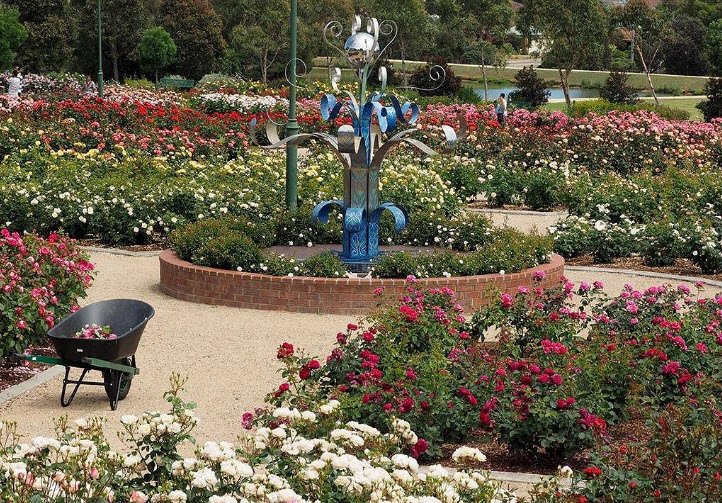 Mornington Botanical Rose Gardens, Australia